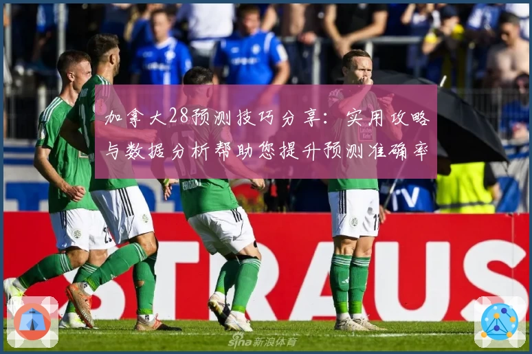 加拿大28预测技巧分享：实用攻略与数据分析帮助您提升预测准确率