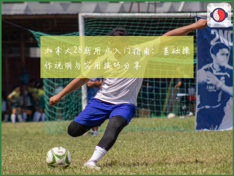 加拿大28新用户入门指南：基础操作说明与实用技巧分享