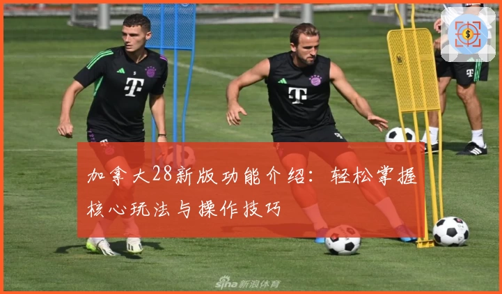 加拿大28新版功能介绍：轻松掌握核心玩法与操作技巧