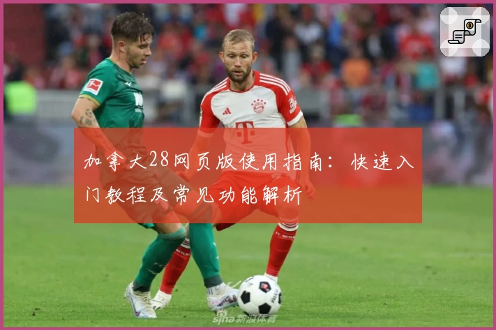 加拿大28网页版使用指南：快速入门教程及常见功能解析