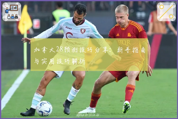 加拿大28预测技巧分享：新手指南与实用技巧解析