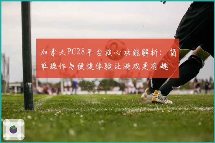 加拿大PC28平台核心功能解析：简单操作与便捷体验让游戏更有趣