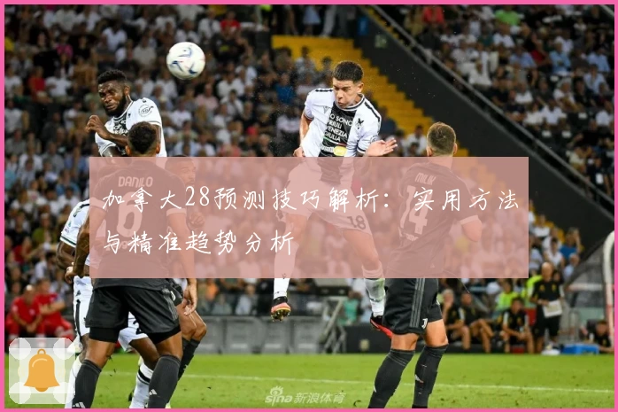 加拿大28预测技巧解析：实用方法与精准趋势分析