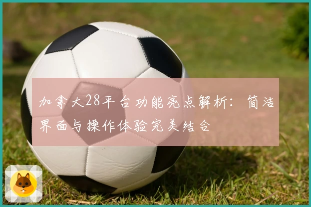 加拿大28平台功能亮点解析：简洁界面与操作体验完美结合