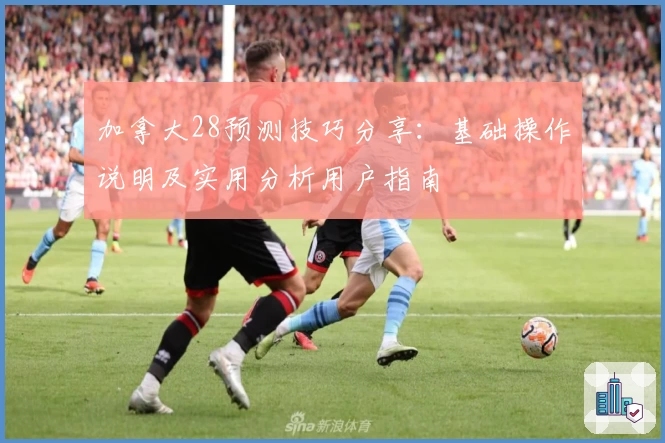 加拿大28预测技巧分享：基础操作说明及实用分析用户指南
