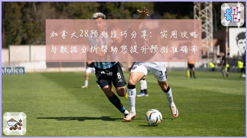 加拿大28预测技巧分享：实用攻略与数据分析帮助您提升预测准确率