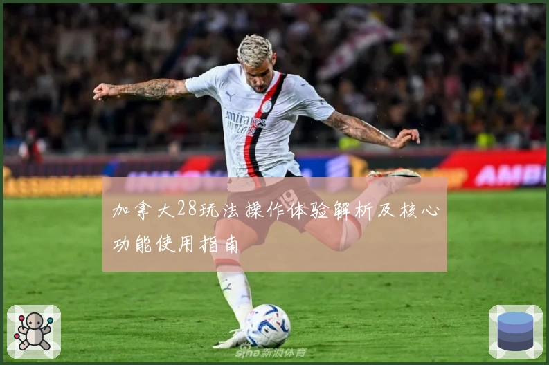 加拿大28玩法操作体验解析及核心功能使用指南