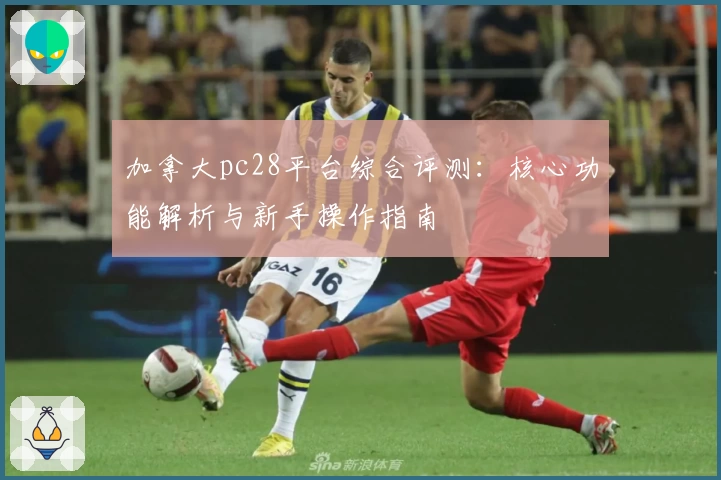 加拿大pc28平台综合评测：核心功能解析与新手操作指南