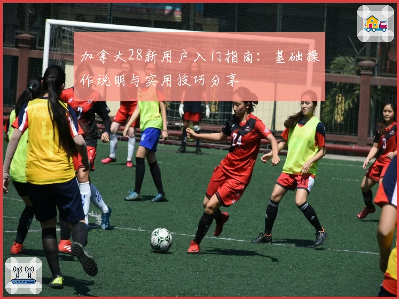 加拿大28新用户入门指南：基础操作说明与实用技巧分享