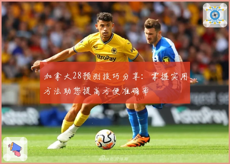 加拿大28预测技巧分享：掌握实用方法助您提高方便准确率